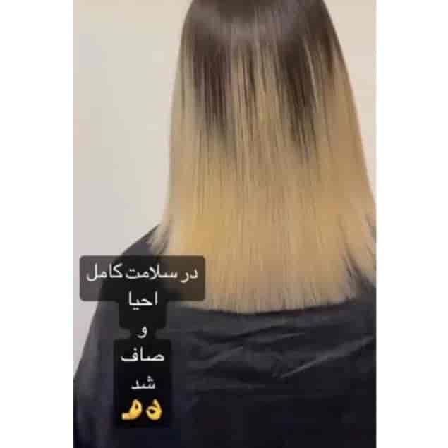 1745145656638.webp