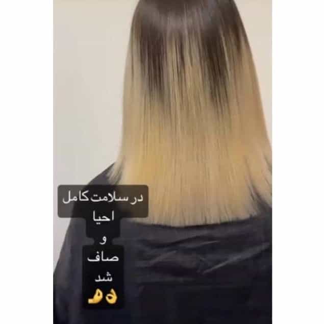 1745145656638.webp