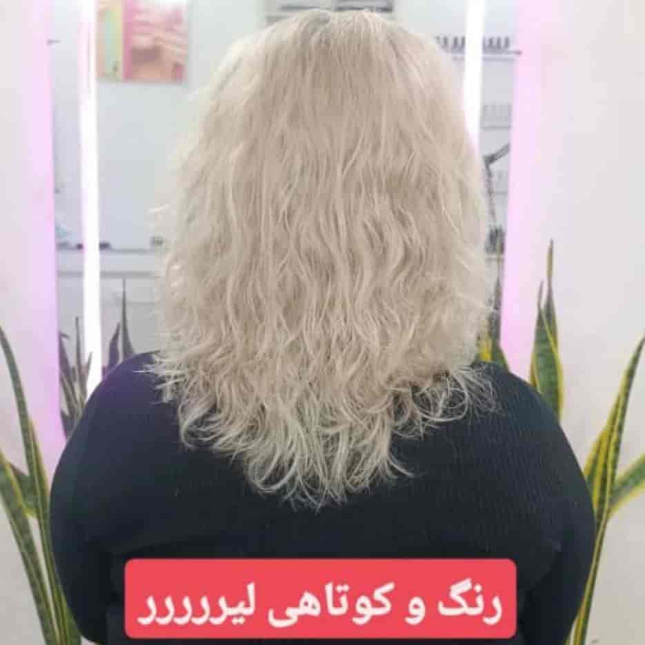 1767167703776.webp